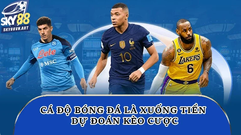 Cá độ bóng đá là xuống tiền dự đoán kèo cược