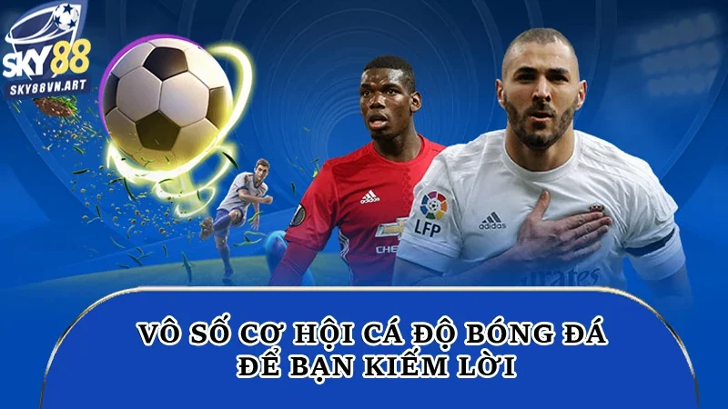 Vô số cơ hội cá độ bóng đá để bạn kiếm lời