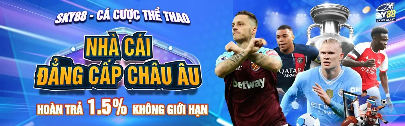 sky88vn art banner